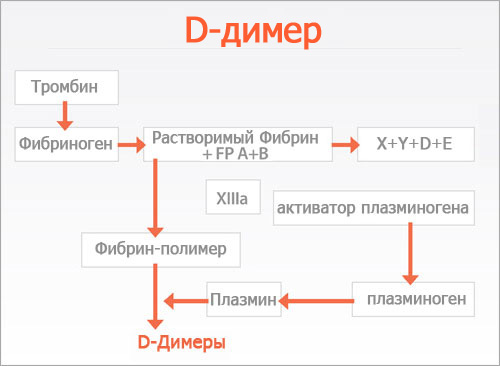 Гемостазиограмма д димер что это такое