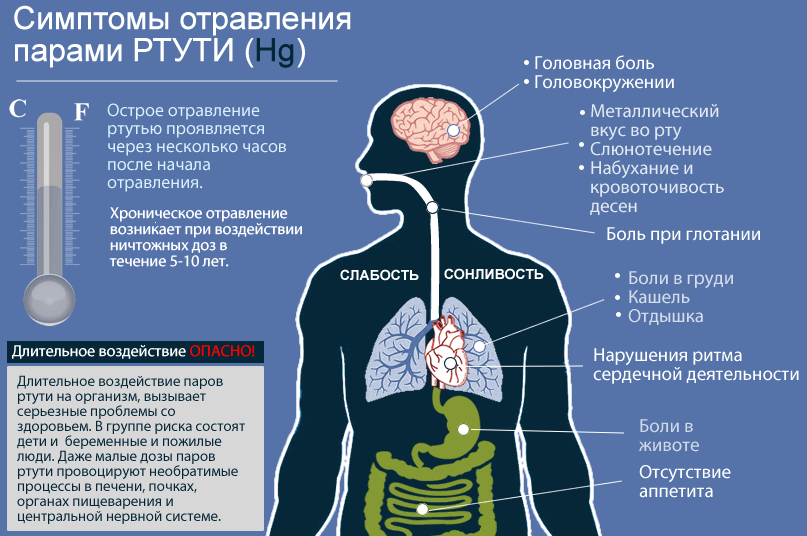 Как действует на организм человека ртуть