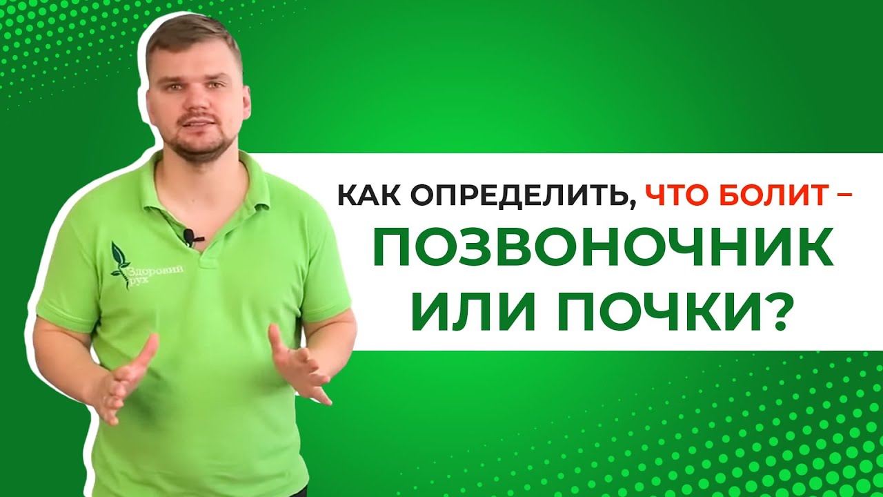 Как проверить почки ли болят