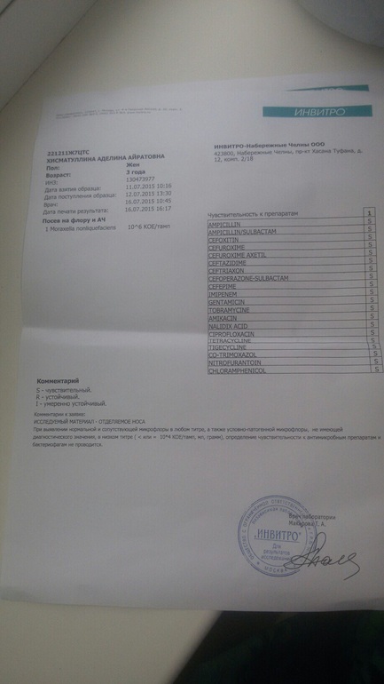 Мазок из зева на микрофлору и чувствительность к антибиотикам