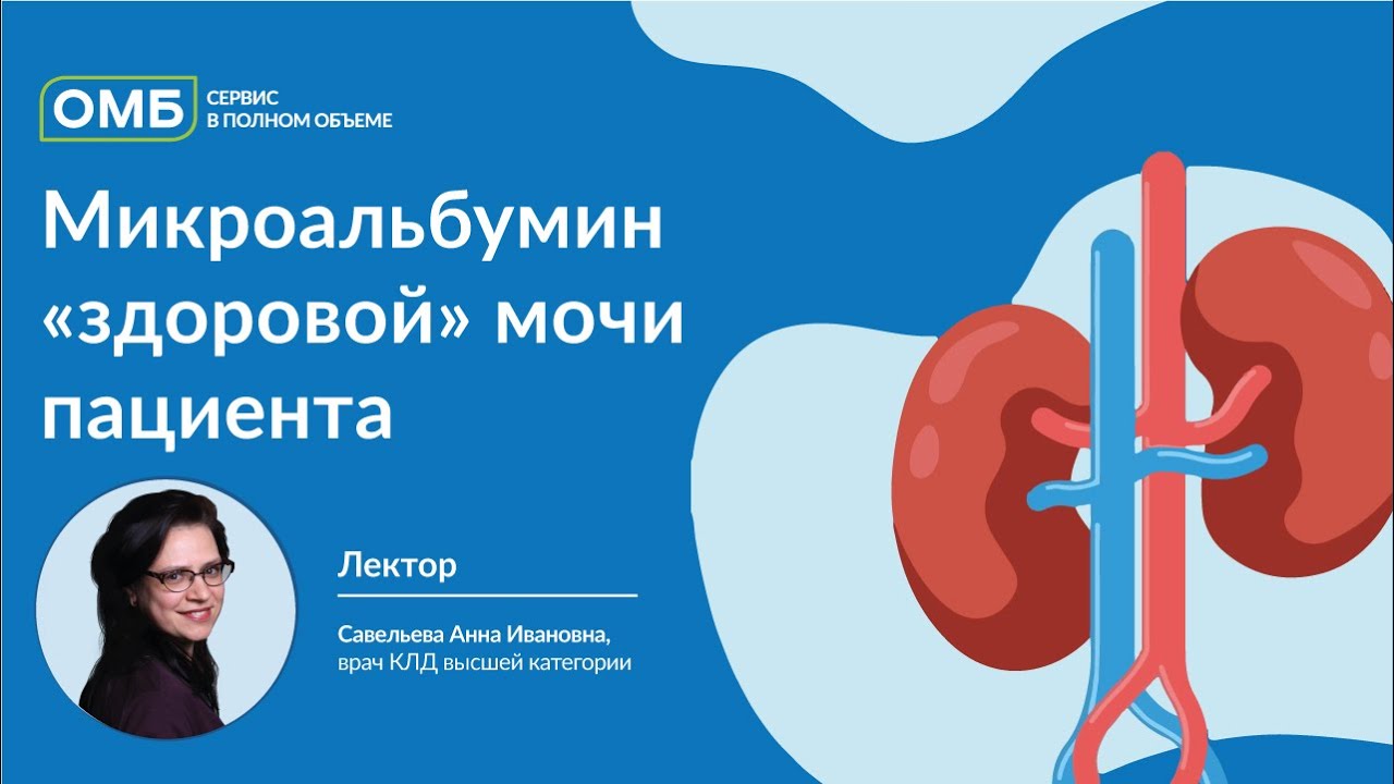 Микроальбумин мочи что это