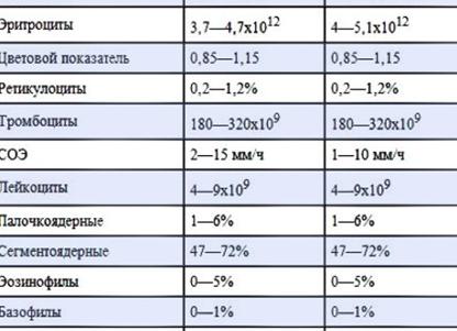 Лейкоциты у мужчин норма