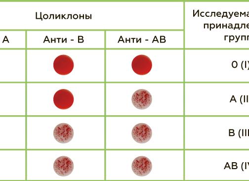 Как определяют резус фактор крови Как определяют резус фактор крови