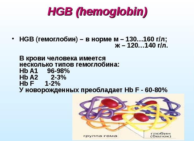 Как обозначают гемоглобин в анализе крови