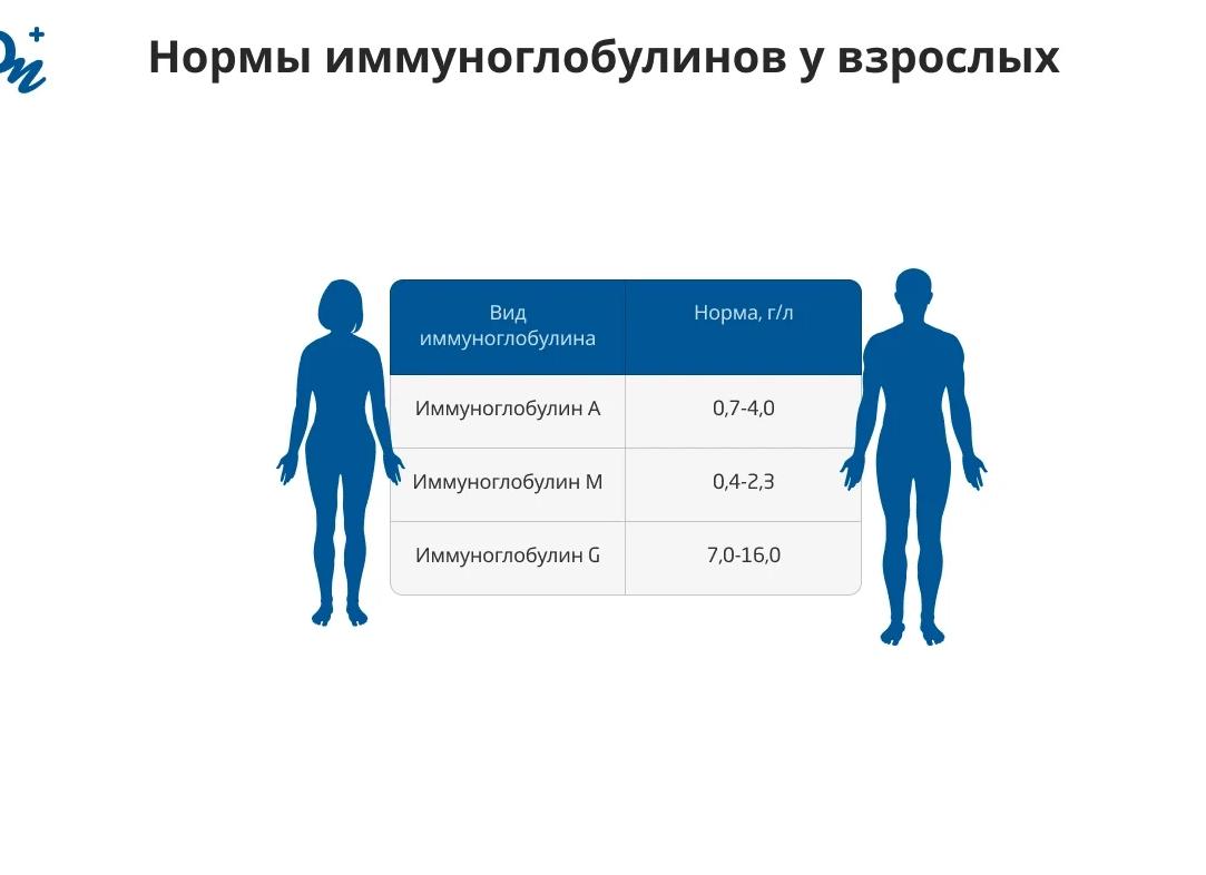 Иммуноглобулин а понижен