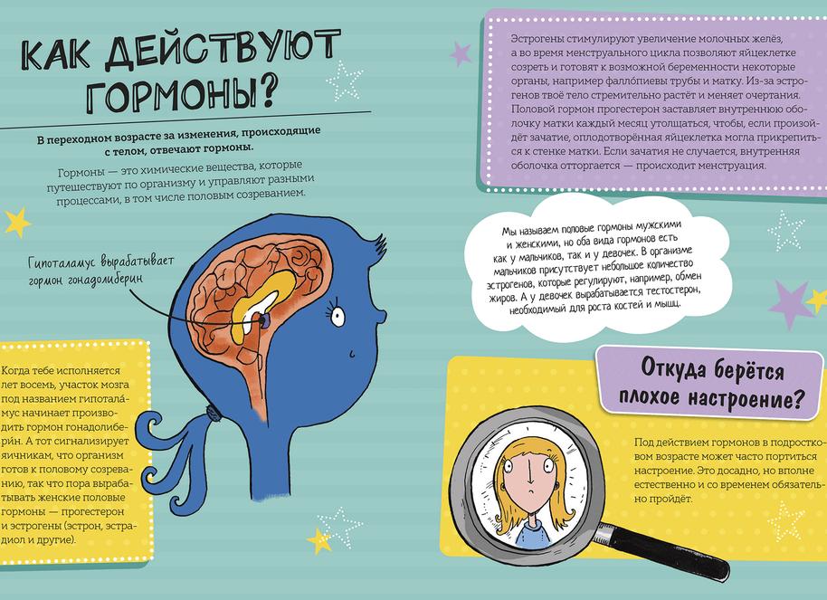 Гормон тестостерон что это такое