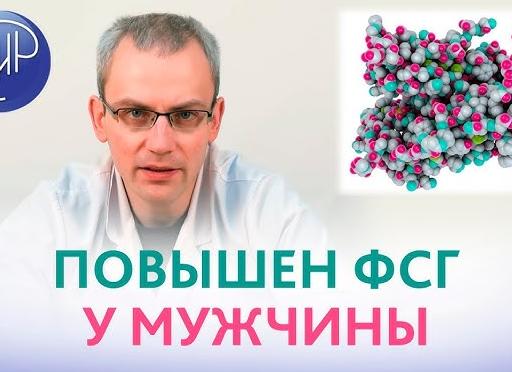Фсг гормон повышен у мужчин