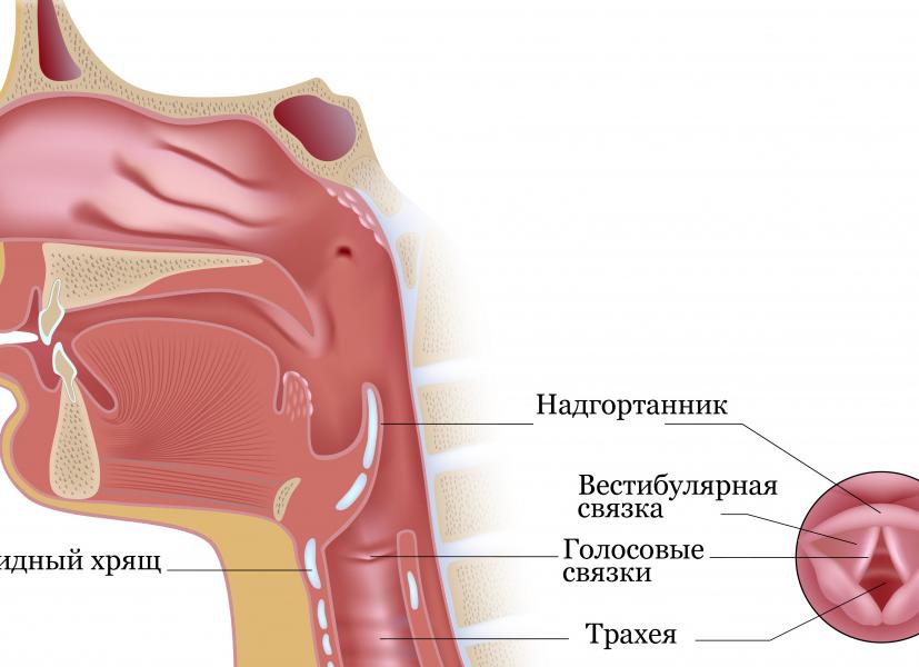 Диагностика рака горла и гортани