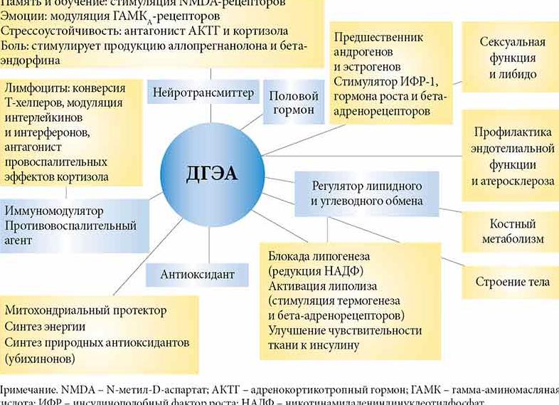 Дгэа с анализ