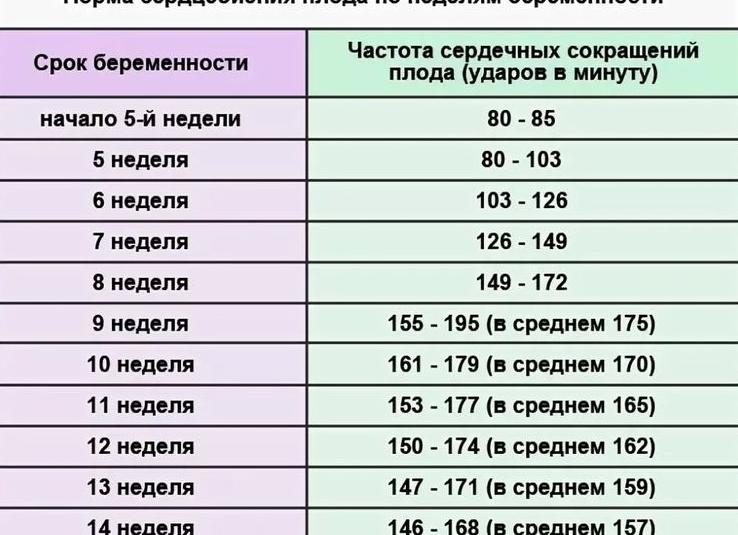 Частота сердцебиения у плода по неделям