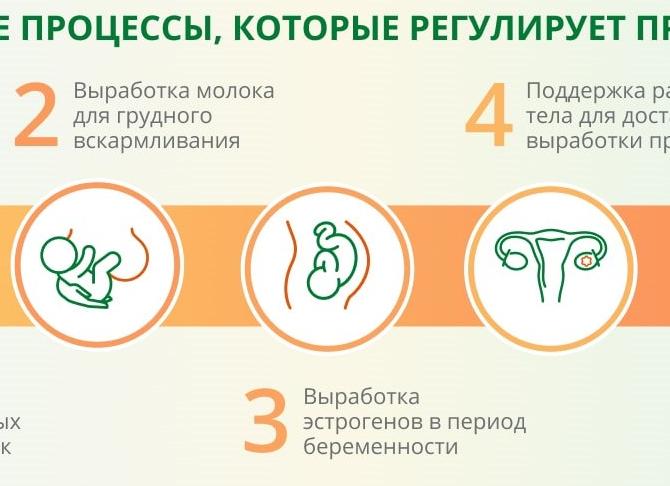 Анализ пролактин что это такое