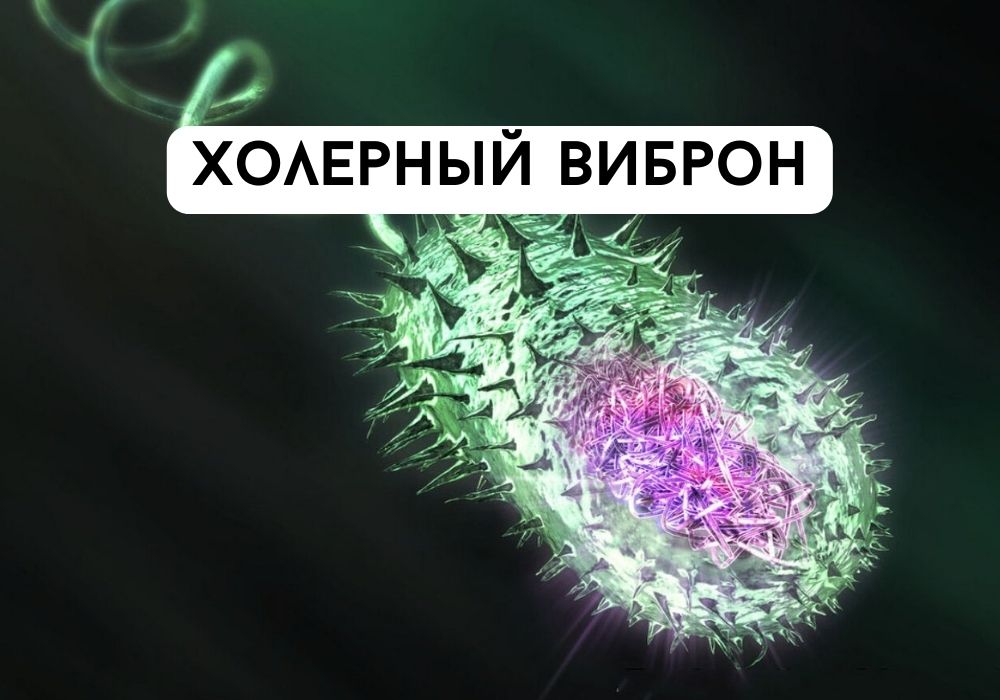Какие болезни вызывают бактерии