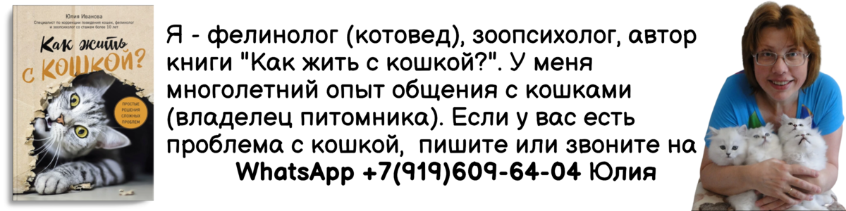Когда моча пахнет аммиаком