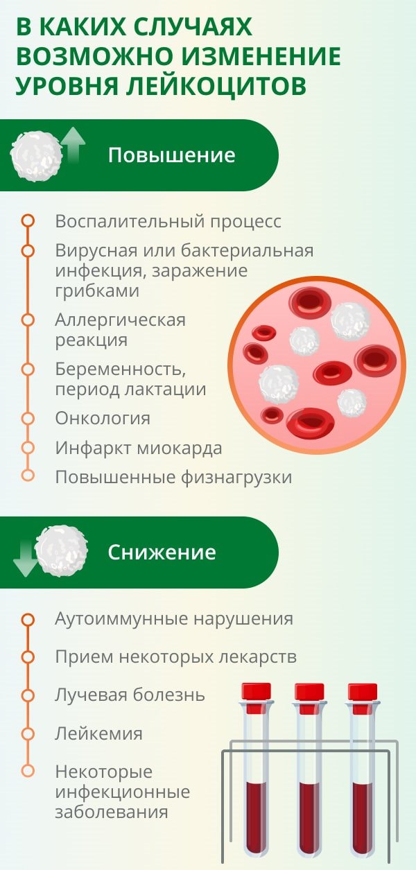 Лейкоциты в моче от чего могут быть