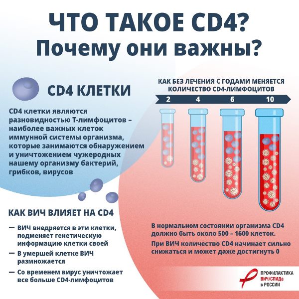 Лимфоциты при вич количество