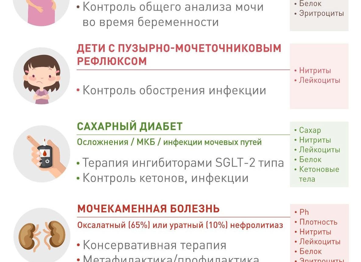 Как сдать бак посев мочи правильно Как сдать бак посев мочи правильно