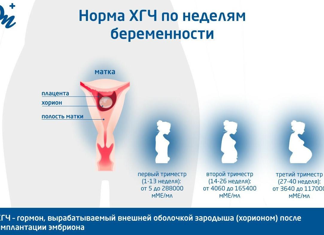 Хгч что такое