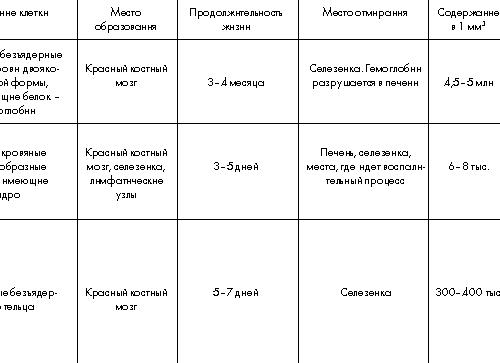 Эритроциты лейкоциты тромбоциты таблица строение и функции