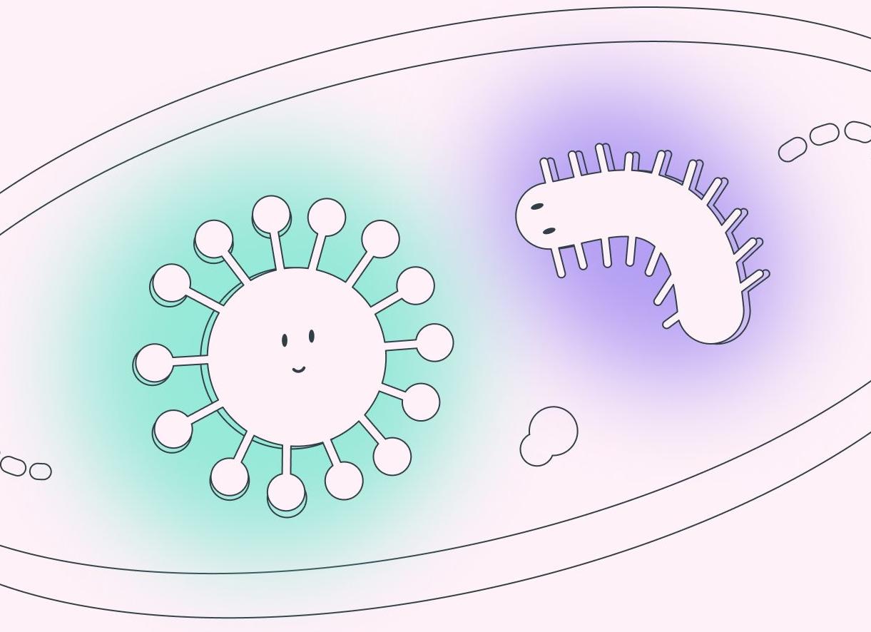 Энтерококк фекальный в матке