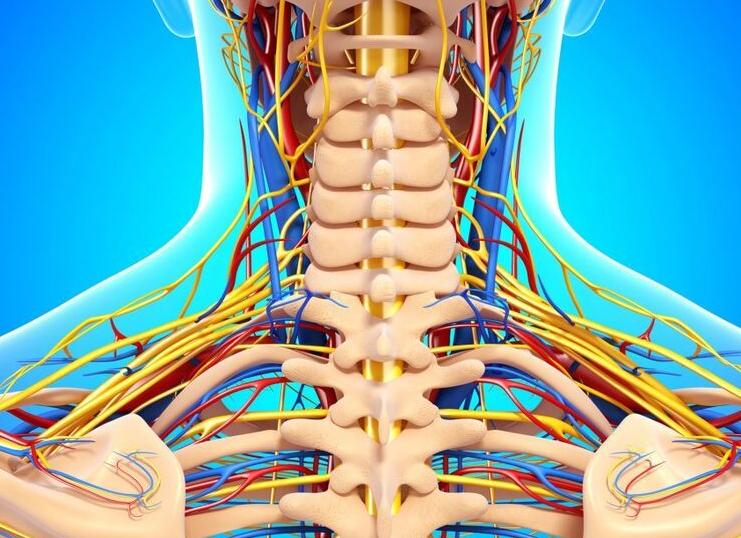 Асимметрия кровотока по позвоночным артериям