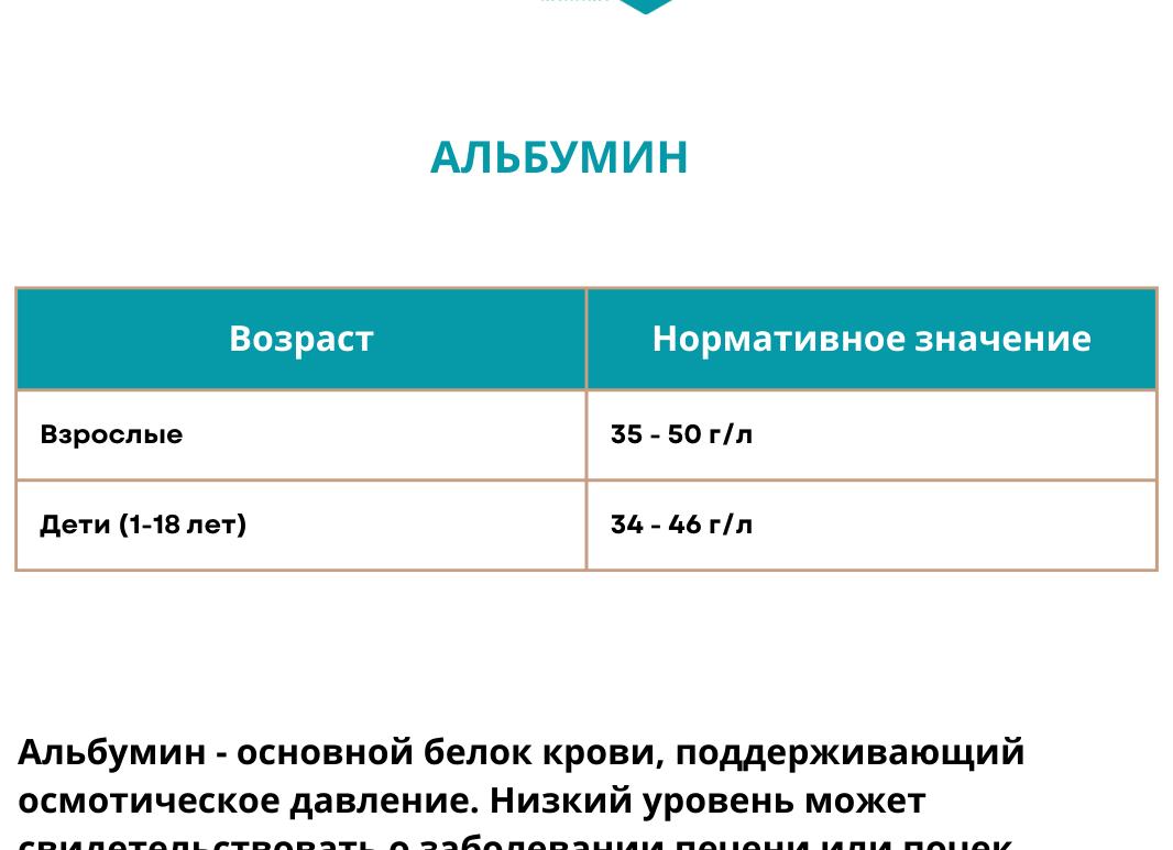 Альбумин норма у женщин