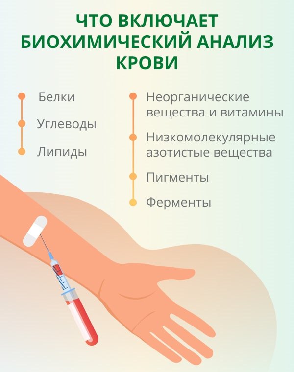 Как подготовиться к анализу на биохимию крови