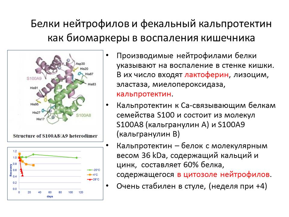 Кальпротектин фекальный что показывает у взрослого