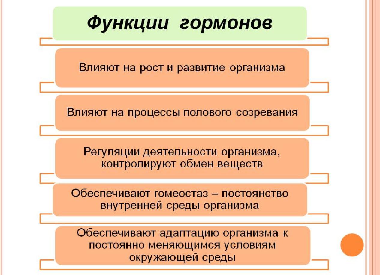 На что влияют гормоны