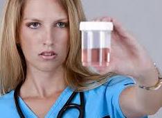 Моча розового цвета у женщин