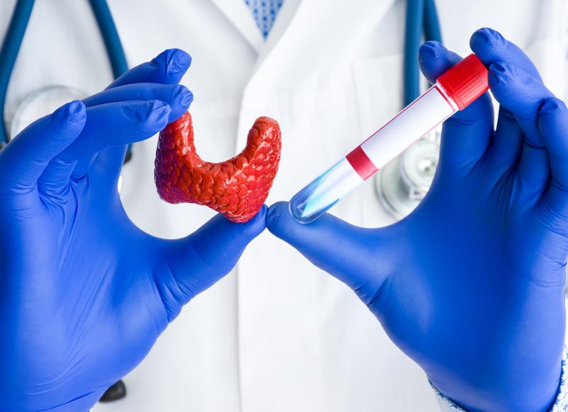 Кровь на щитовидную железу