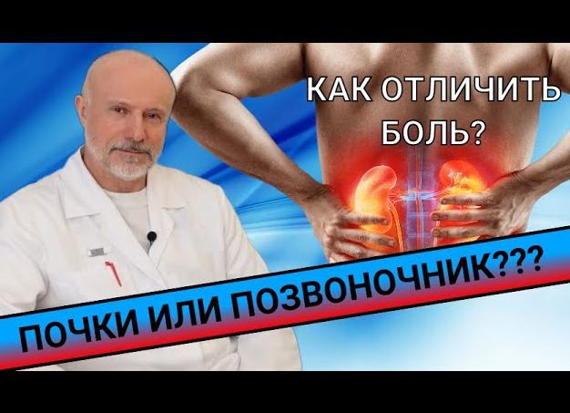 Как проверить почки ли болят