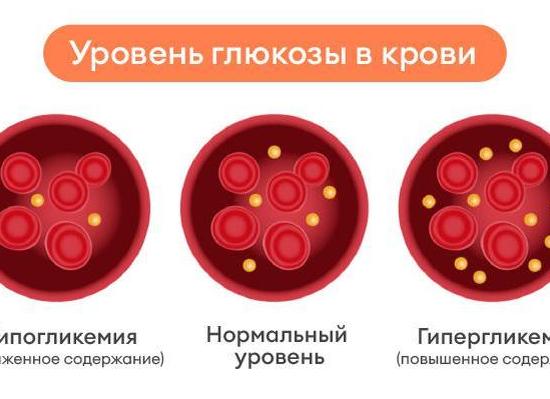 Инсулин снижает уровень глюкозы в крови за счет