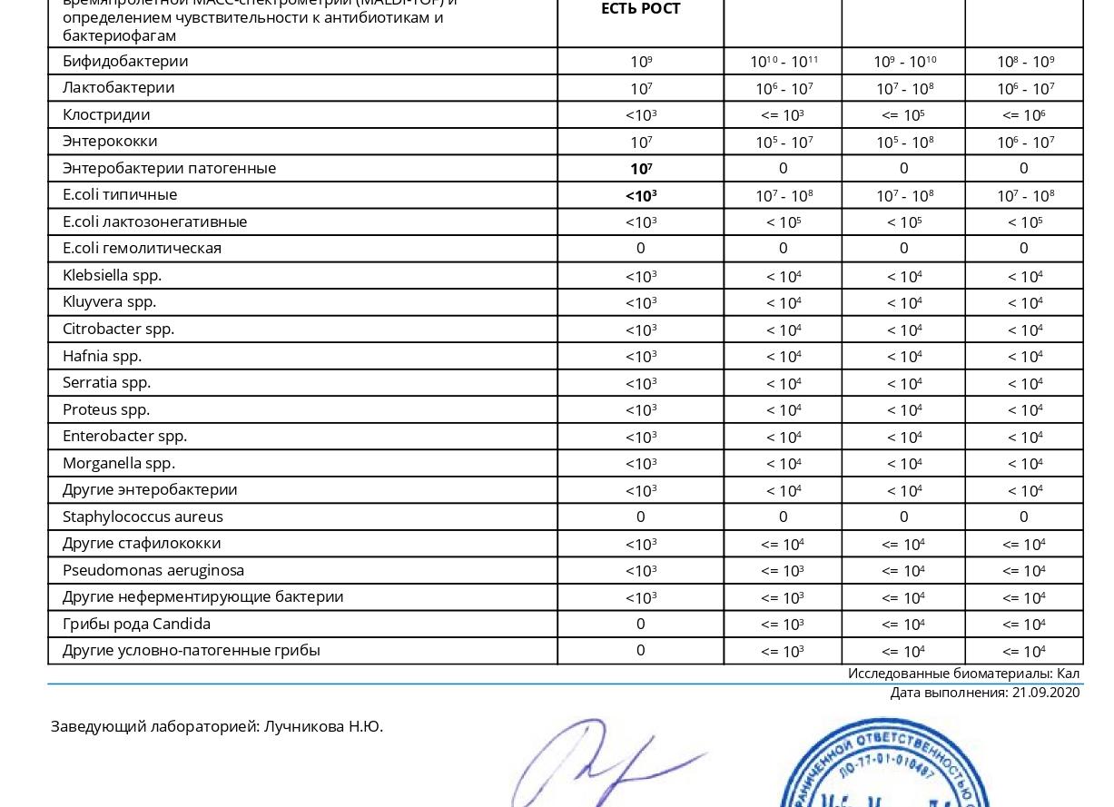 Анализ на дисбактериоз кишечника расшифровка у взрослых