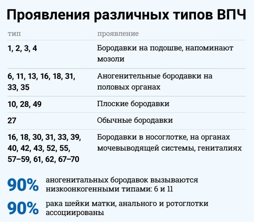 Генотипирование впч что это