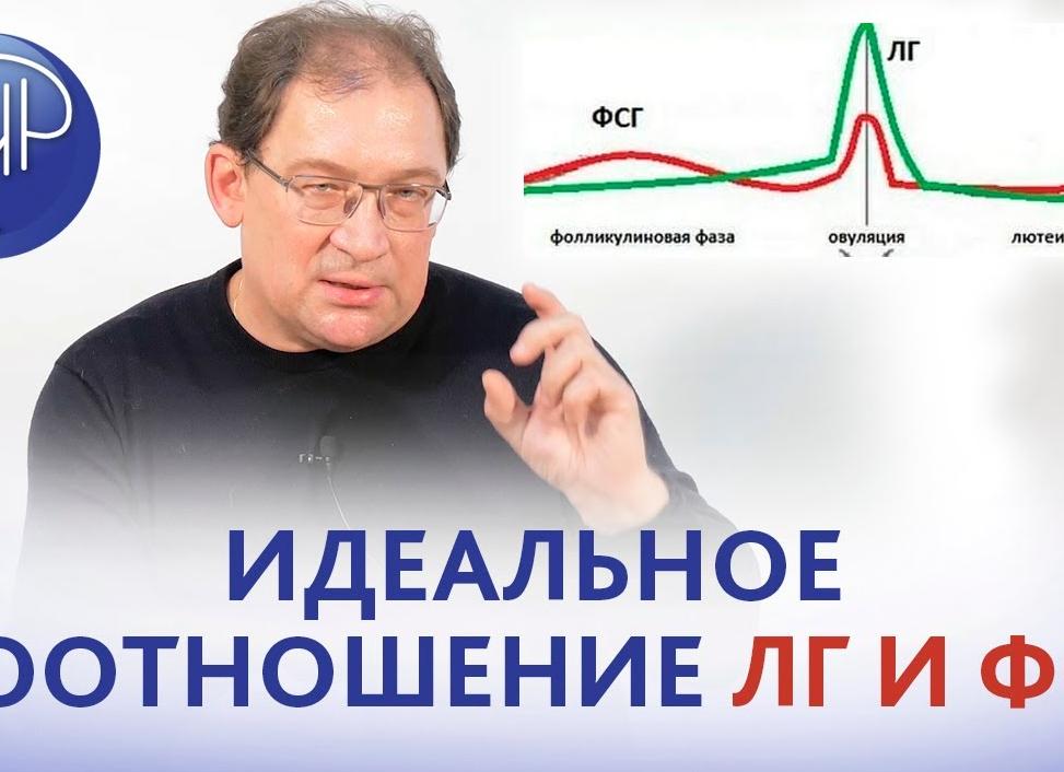 Лг и фсг соотношение в первой фазе Лг и фсг соотношение в первой фазе