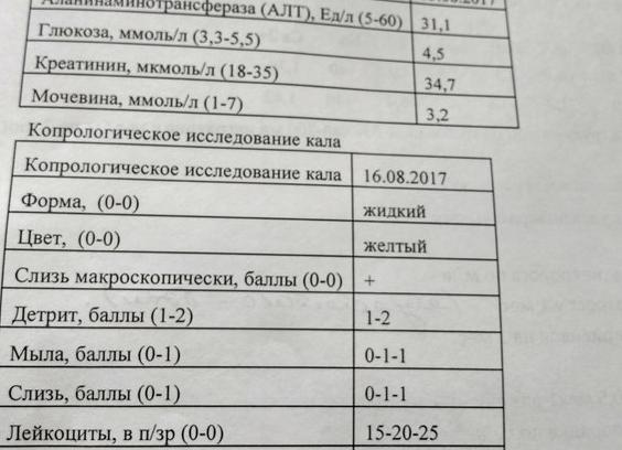 Лейкоциты в кале норма