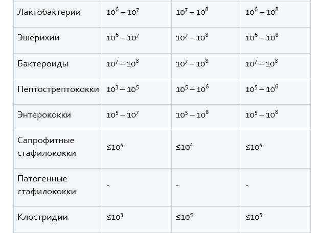 Клостридии в анализе на дисбактериоз