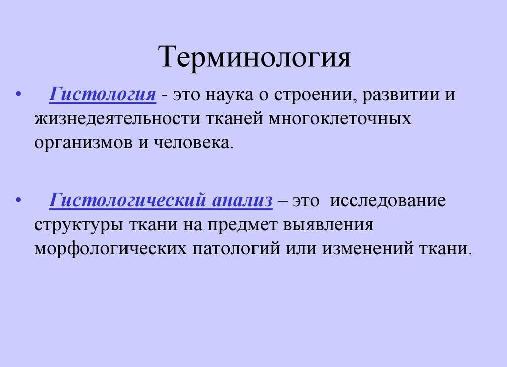 Гистологическое исследование что это такое в гинекологии