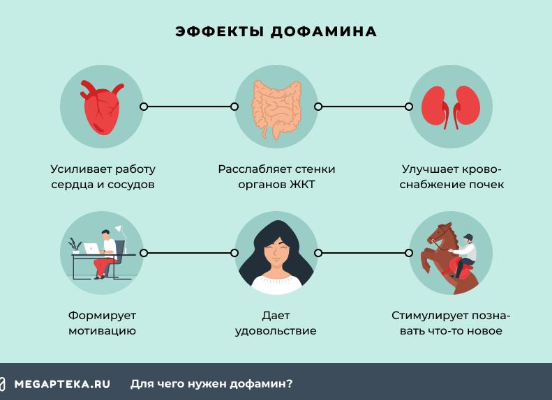 Где содержится дофамин