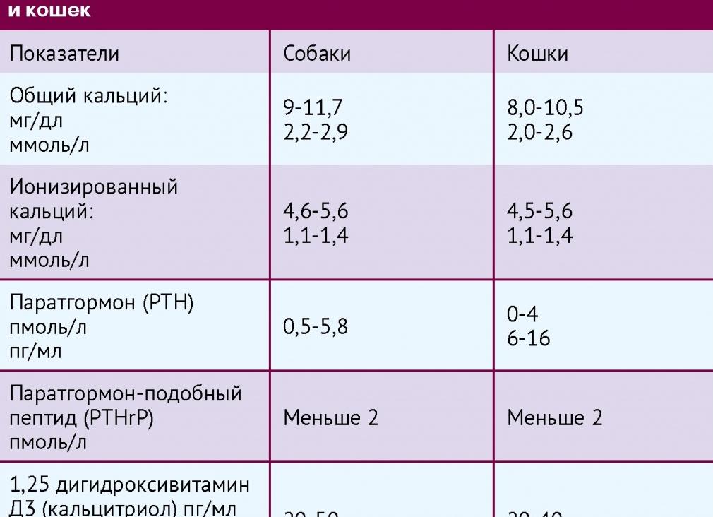 Если кальций превышает норму
