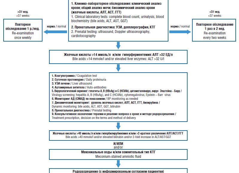 Что такое ггт при анализе крови биохимия и какова норма Что такое ггт при анализе крови биохимия и какова норма