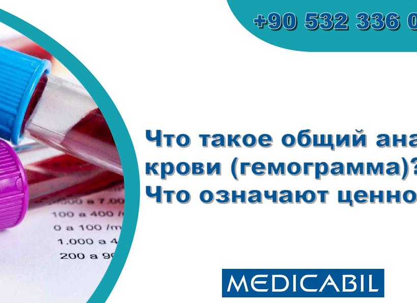 Что показывает гемограмма крови Что показывает гемограмма крови