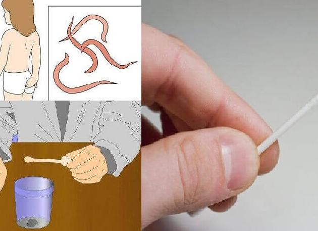 Анализ на гельминтозы