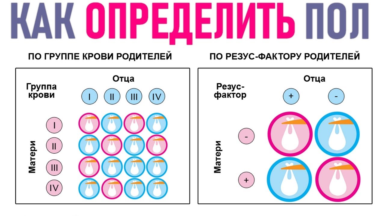 Как определить пол ребенка без узи