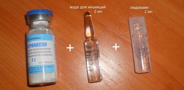 Можно ли разводить цефазолин лидокаином