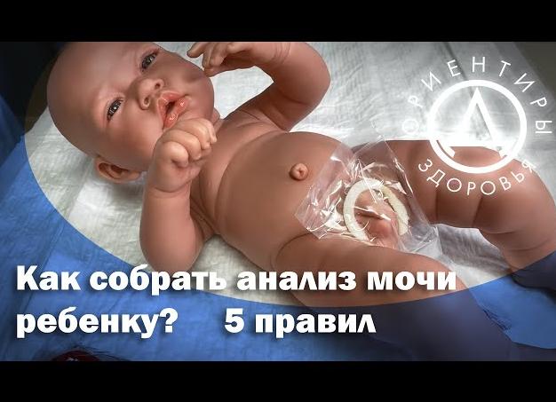 Как у младенца взять анализ мочи