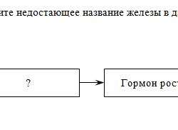 Гипоталамус гормон роста биосинтез белка рост организма