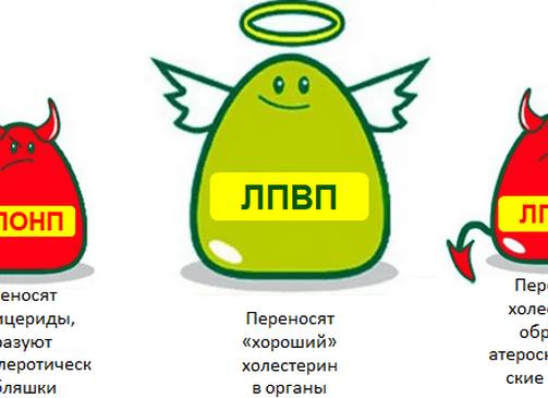 Анализ лпвп что это такое