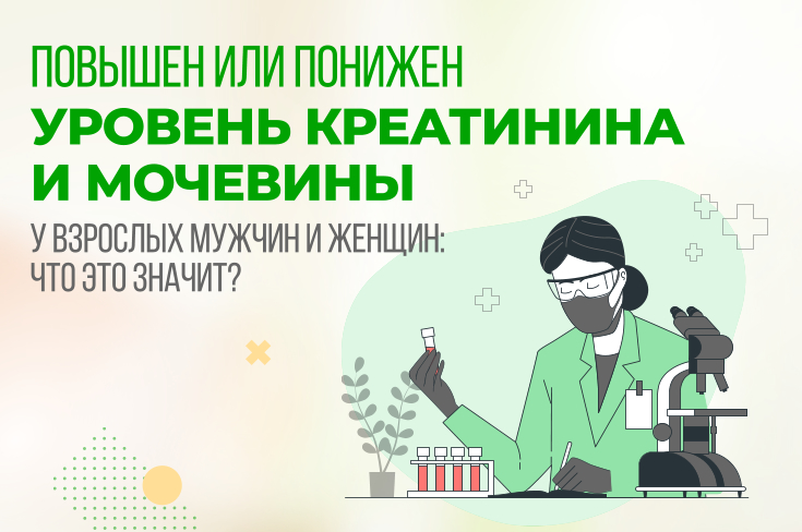 Креатинин понижен что это значит