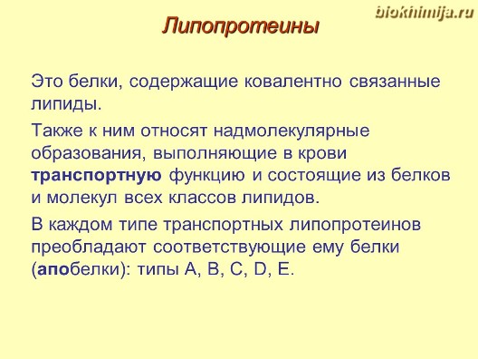 Липопротеиды что это такое